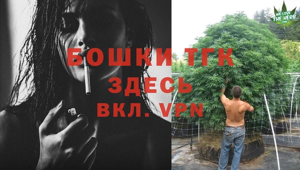 прущий лед Бородино