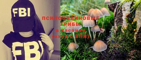 прущий лед Бородино
