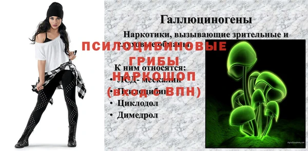 таблы Бронницы