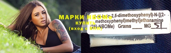 прущий лед Бородино