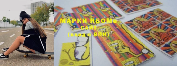 прущий лед Бородино