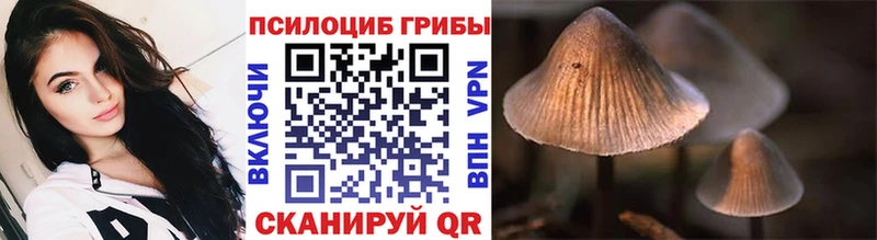 Галлюциногенные грибы прущие грибы  Светогорск 